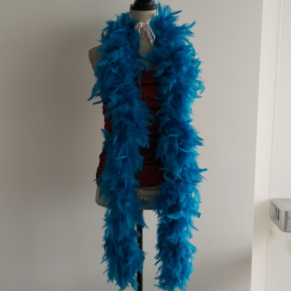 Feather Boa - Picture 2 of 4
